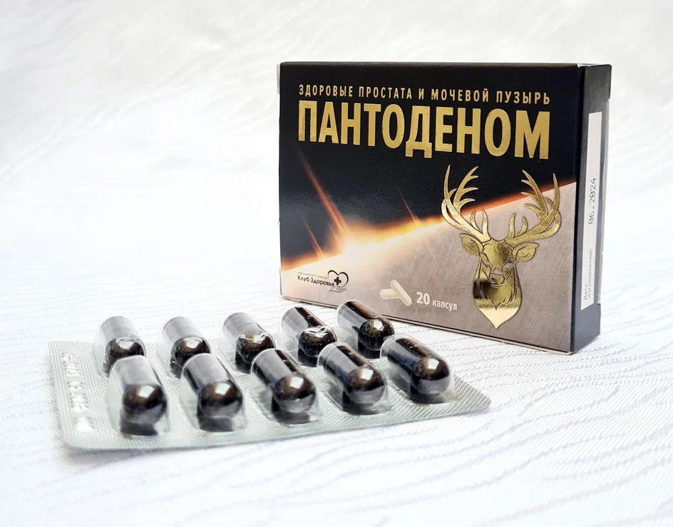 Пантоденом — изображение 2